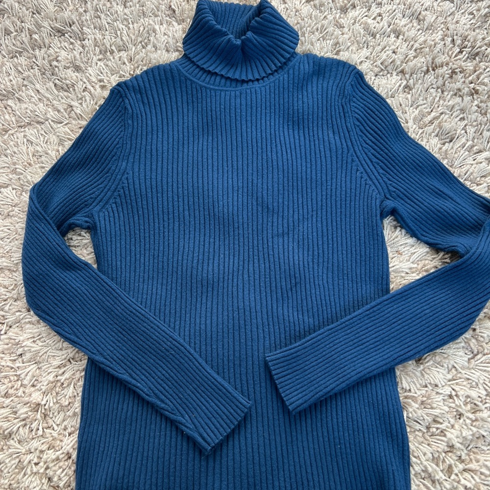 Banana Republic Warm Blue Sweater - L